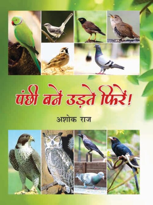 पंछी बने उड़ते फिरे - panchhi bane udte phire